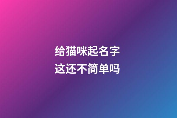给猫咪起名字 这还不简单吗